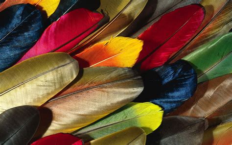 The Enigmatic Significance and Representations of Multicolored Plumes