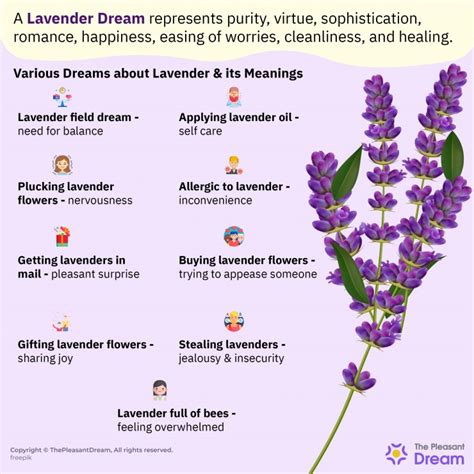 The Enigmatic Significance of Lavender Plumage in Dreams