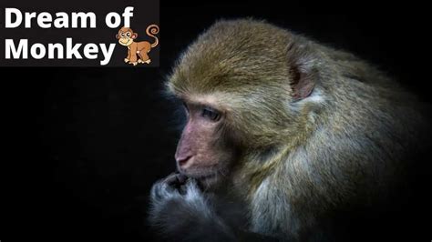 The Enigmatic Significance of Primate Reveries: Deciphering Allegory