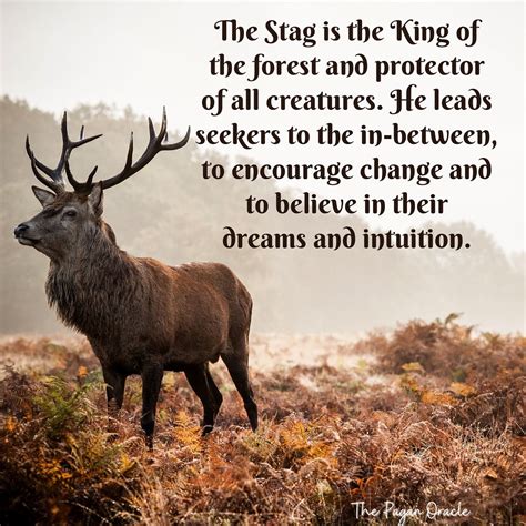 The Enigmatic Significance of Stag Reveries