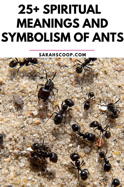 The Enigmatic Universe of Ant Symbolism