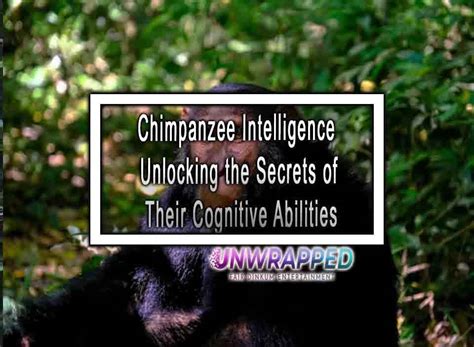 The Enigmatic World of Primate Communication: Unlocking the Enthralling Secrets of Chimpanzee Conversations