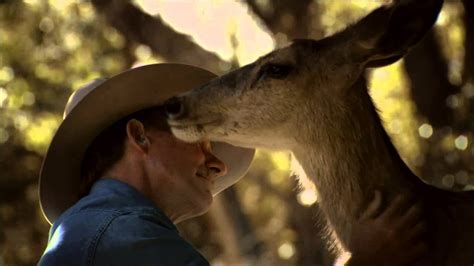 The Enigmatic and Profound Bond Between Humans and Deer