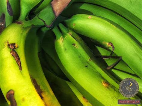 The Enigmatic and Transcendent Significance behind Dreaming of a Plantain