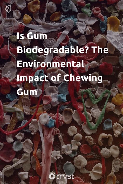 The Environmental Impact of Chewing Gum: Solutions for a Cleaner Planet