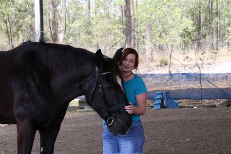 The Equestrian Connection: Forging a Strong Bond with Stallions