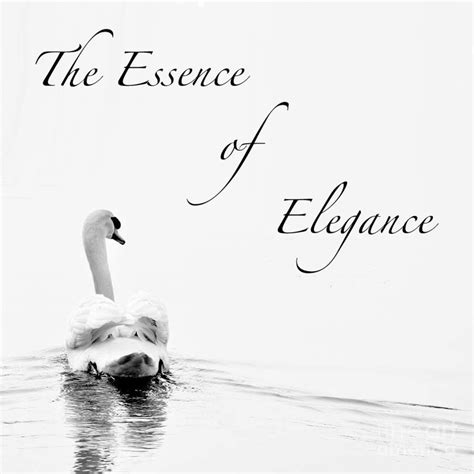 The Essence of Elegance