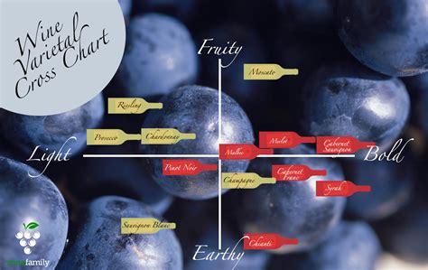 The Essence of Grape Selection: Understanding the Significance of Varietals