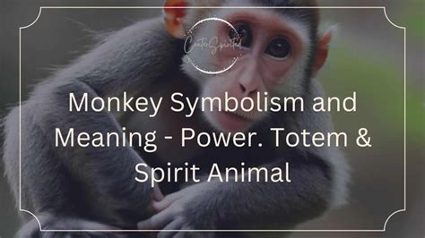 The Essence of Monkey Dreams in the Spiritual Realm of Hindu Culture