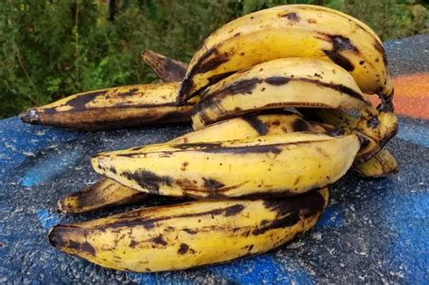 The Essence of Ripe Plantain: An Emblem of Nourishment and Harmony