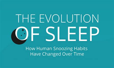 The Evolution of Sleep Habits: From Primitive Rest to Luxurious Slumber