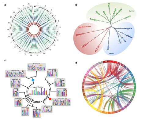 The Evolutionary Significance of Lupine Vision