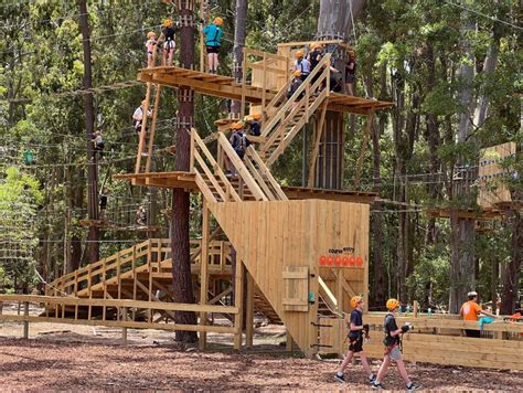 The Excitement of Tree Climbing: Exploring a Fresh Perspective