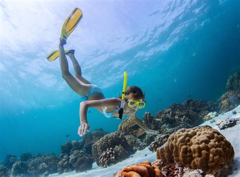 The Excitement of Underwater Adventures: Scuba Diving and Snorkeling