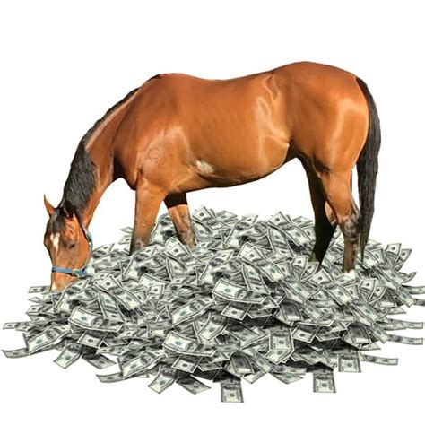 The Expense of Horse Ownership: Managing Your Finances