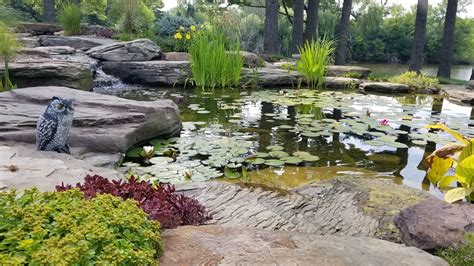 The Extraordinary Flora and Fauna Along the Serene Water's Edge