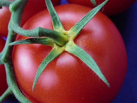 The Extraordinary Vision: Tomatoes Soaring Through the Air