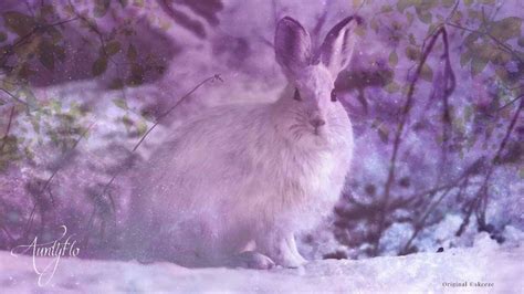 The Fascinating Connection between Rabbit Vital Fluid Dreams and Shamanistic Customs