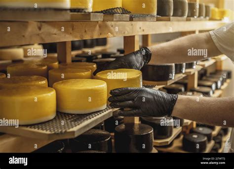 The Fascinating Craft of Cheese Maturation