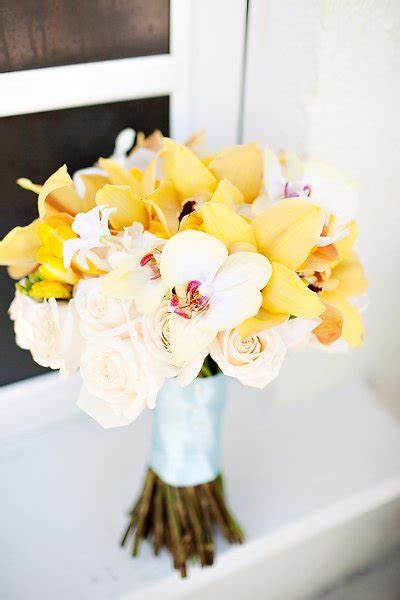 The Fascinating Elegance of Interplay between Joyful Yellow and Delicate White Blooms