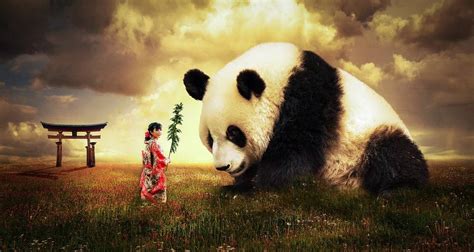 The Fascinating History and Cultural Significance of Pandas