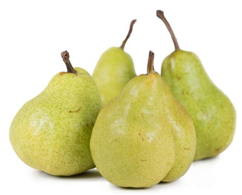 The Fascinating History of Indigenous Pear Cultivars