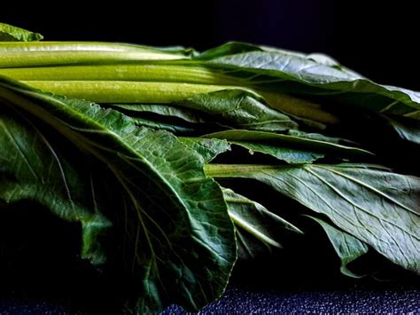 The Fascinating History of Mustard Greens and Their Significance in the Culinary World