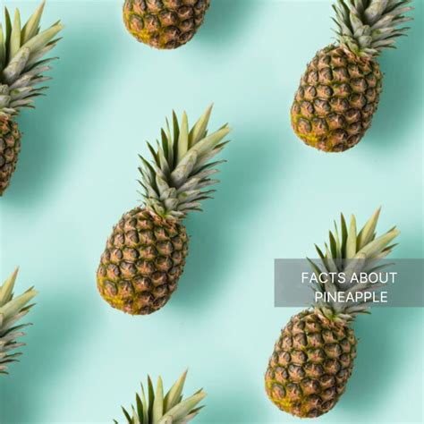 The Fascinating History of Pineapples as a Symbol