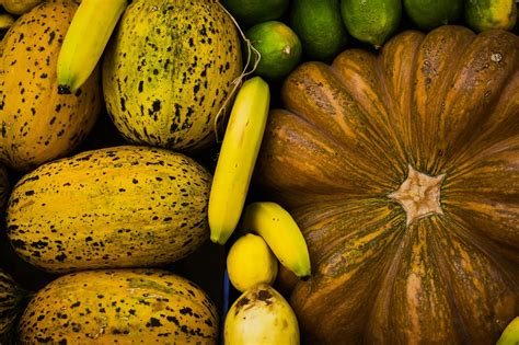 The Fascinating History of Pumpkin Harvesting