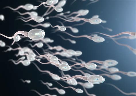 The Fascinating Insights Dreams of Sperm Movement Can Reveal