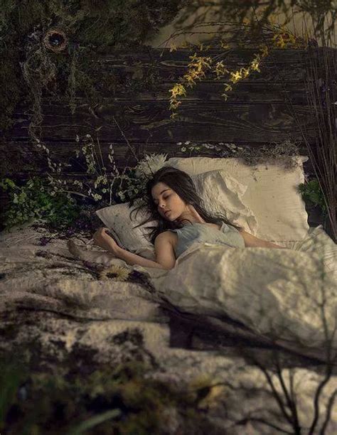 The Fascinating Nature of Sleeping Fantasies