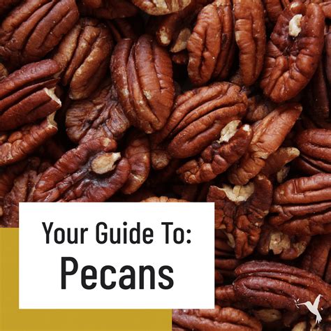 The Fascinating Origins and Evolution of Pecan Nuts