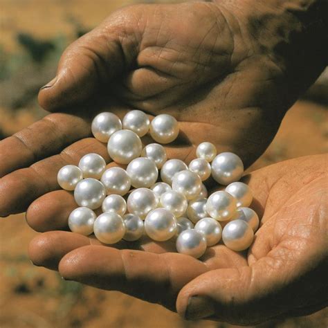 The Fascinating Origins and Rich History of Pearls