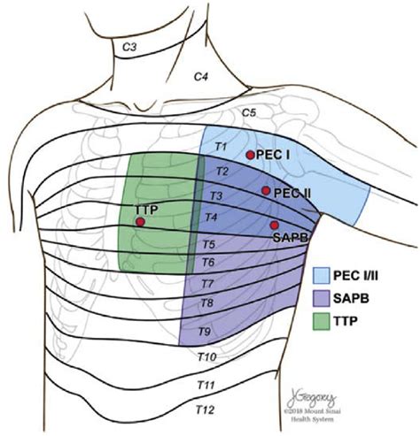 The Fascinating Realm of Fantasizing about Surgery for the Chest Region