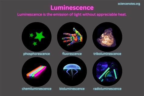 The Fascinating Science of Luminescent Insects: Decoding the Mechanisms of their Radiant Light