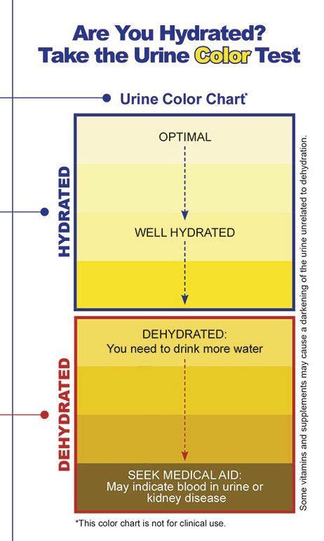 The Fascinating Significance of Urination in a Washbasin