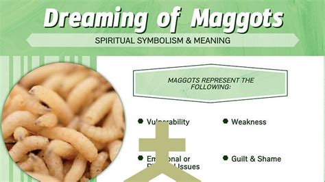 The Fascinating Symbolism of Maggots in Dreams