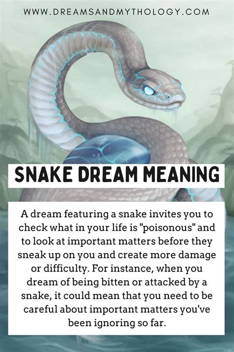 The Fascinating Symbolism of Serpent Dreams