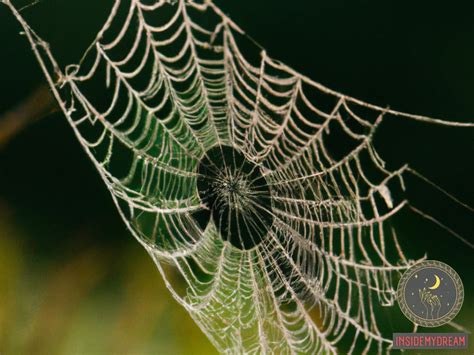 The Fascinating Symbolism of Web Spiders in Dreams