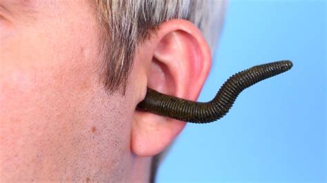 The Fascinating Vision of Bugs Wriggling Inside Your Ear