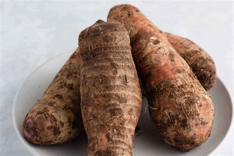 The Fascinating World of Cocoyam