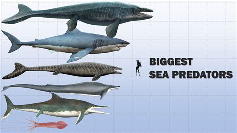 The Fascinating World of Enormous Ocean Predators