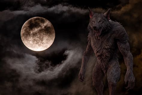 The Fascination of Werewolves: A Look into the Psychology