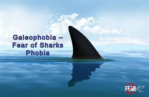 The Fear Factor: Overcoming Phobias through Shark Encounters