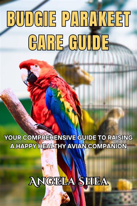 The Feathered Steps: How to Take Care of a Feathered Companion