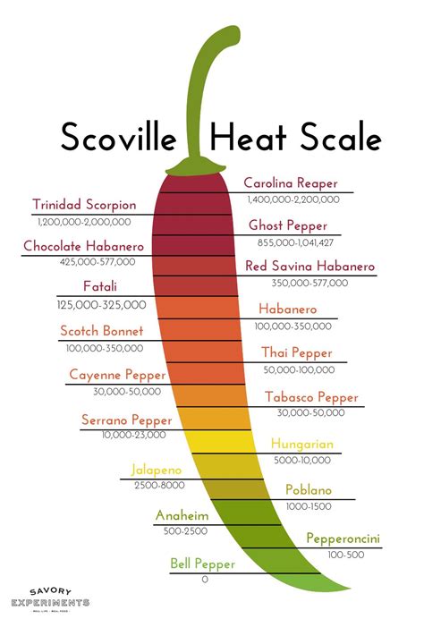 The Fiery Spectrum: Understanding the Different Levels of Heat in Red Chilli