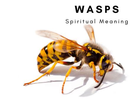 The Figurative Significance of a Wasp Grasped in Your Palm