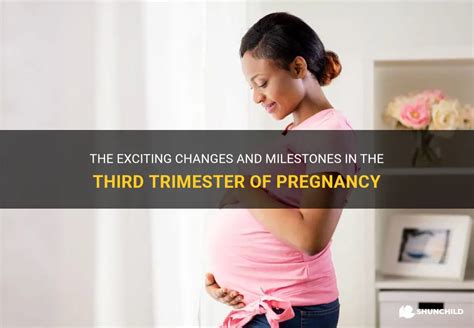 The Final Push: Challenges and Milestones in the Third Trimester