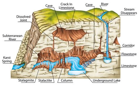 The Formation and Structure of Subaquatic Grottos