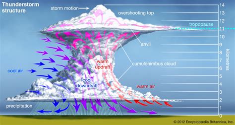 The Formation and Varieties of Thunderous Skies